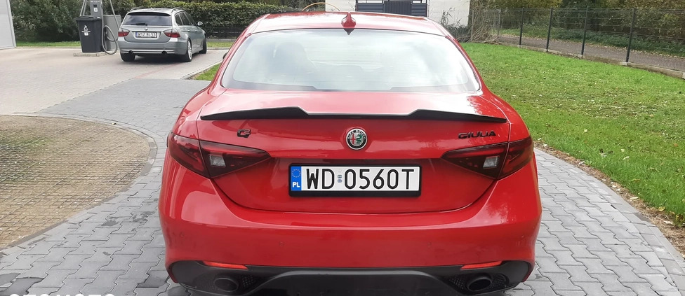 Alfa Romeo Giulia cena 115900 przebieg: 19000, rok produkcji 2022 z Warszawa małe 562